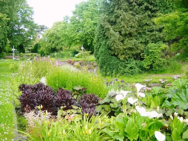 The Place for Plants East Bergholt
