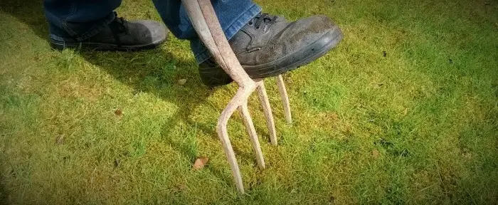 Lawn care