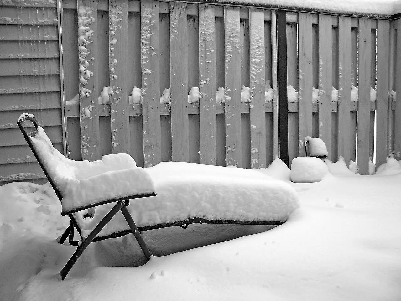 snowy lawn and garden