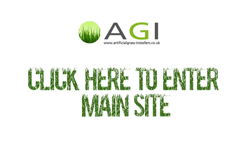 main site