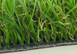 rosemary side